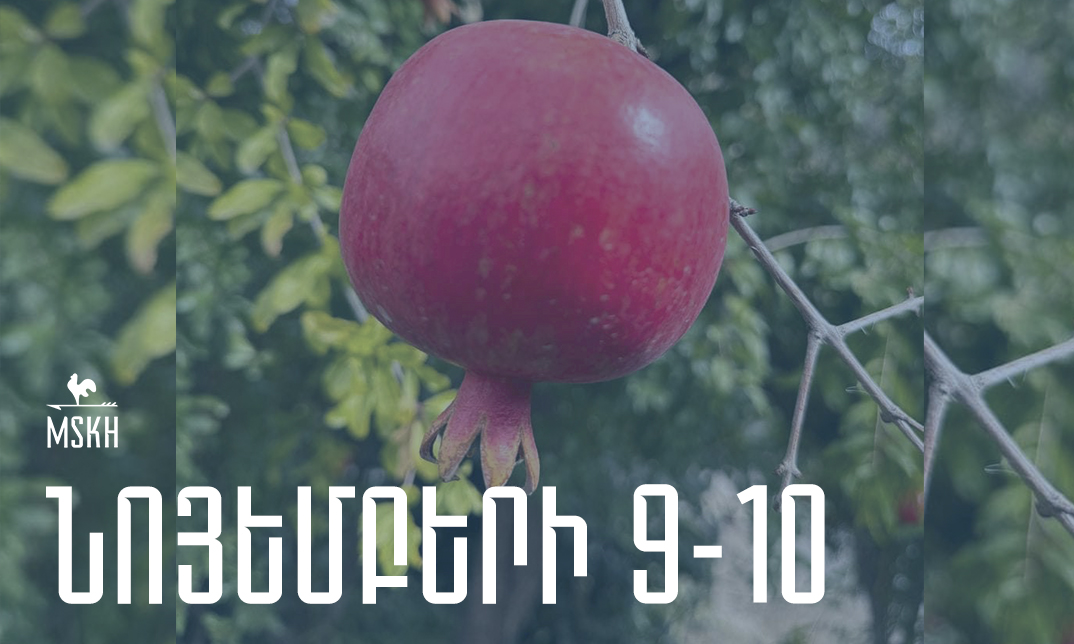 Նոյեմբերի 9-10